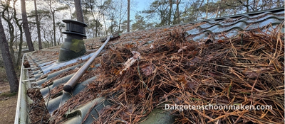 Dakgoot schoonmaken chalet